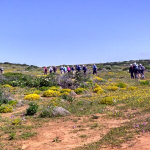 West Algarve