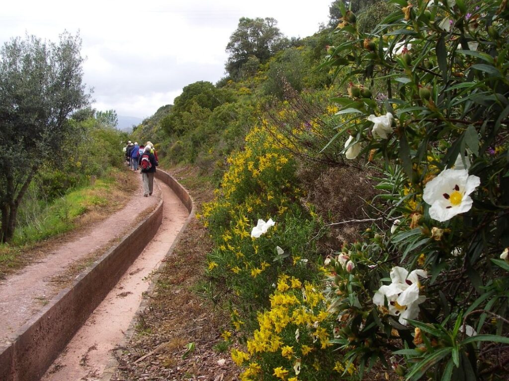 West Algarve, Walking in Silves
