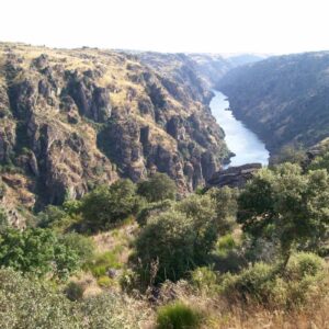 Arribas do Douro