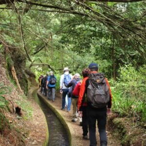 Levadas Madeira walking